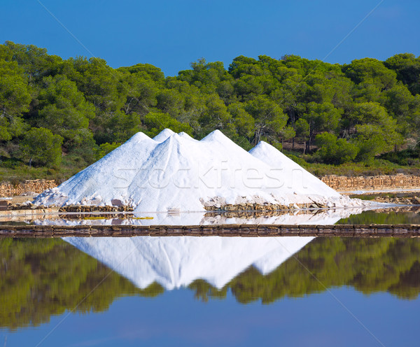 Mallorca Ses Salines Es Trenc Estrenc saltworks Stock photo © lunamarina