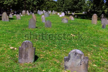 Boston centraal grond Massachusetts USA gras Stockfoto © lunamarina