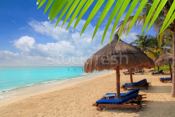 Mayan Riviera beach palm trees sunroof Caribbean Stock photo © lunamarina