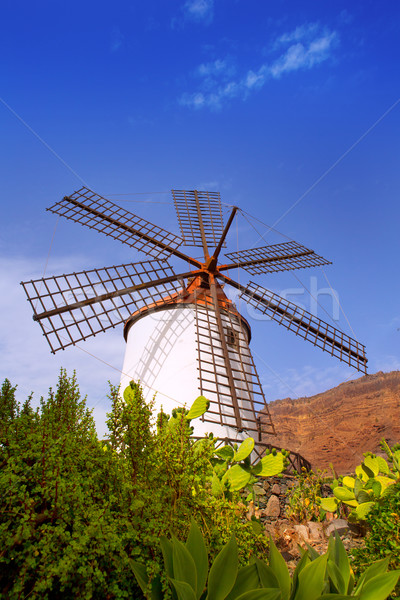 El molino de Mogan historical windmill Stock photo © lunamarina