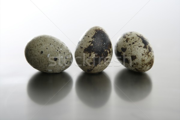 Three quail eggs Stock photo © lunamarina