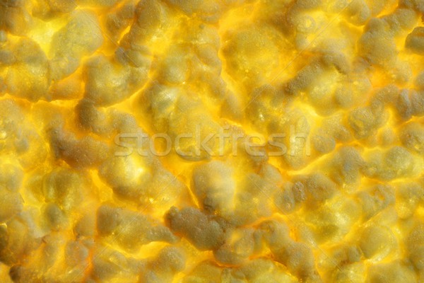 Foto stock: Milho · amarelo · biscoito · textura · transparente · luz