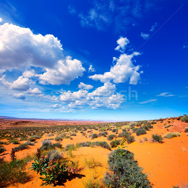 Stockfoto: Arizona · woestijn · Colorado · rivier · USA · oranje