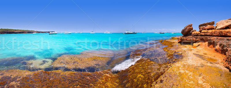 Formentera panoramic Cala Saona beach Balearic Islands Stock photo © lunamarina