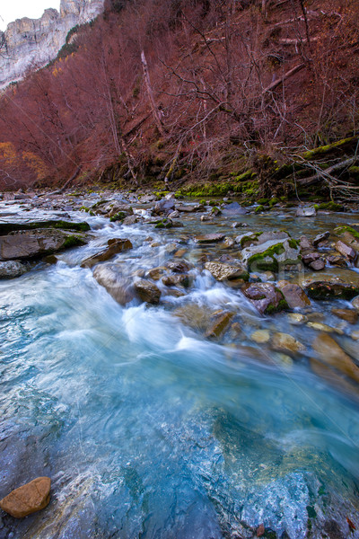 Arazas river Valle de Ordesa valley Pyrenees Huesca Spain Stock photo © lunamarina