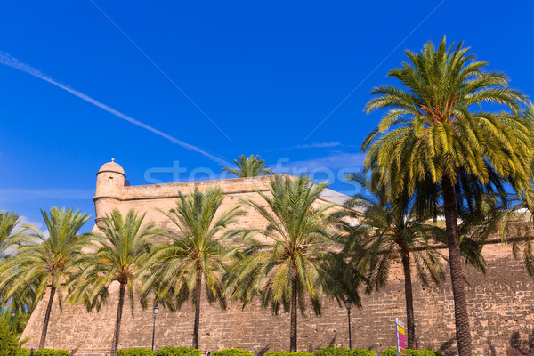 Majorca Es Baluard facade in Palma de Mallorca Stock photo © lunamarina