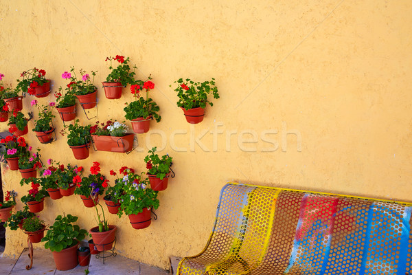 Burgos colorful facade with flower plants pots Stock photo © lunamarina