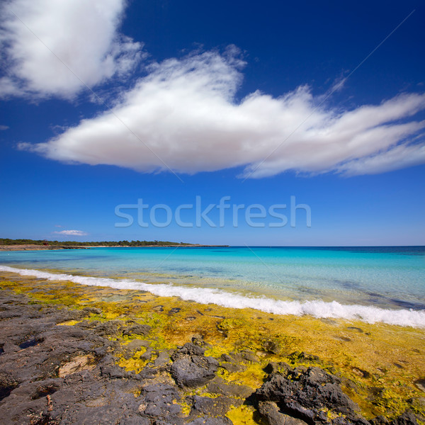 Syn plaży turkus kolor niebo wody Zdjęcia stock © lunamarina