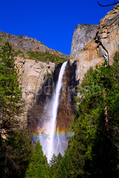 Yosemite Bridalveil fall waterfall California Stock photo © lunamarina
