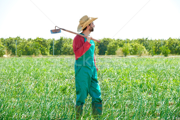 Landwirt Mann Hacke schauen Bereich Obstgarten Stock foto © lunamarina