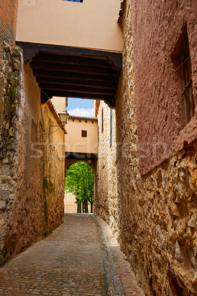Zamora Calle Troncoso street arch Spain Stock photo © lunamarina