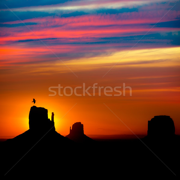 Sunrise at Monument Valley at Mittens and Merrick Butte Stock photo © lunamarina