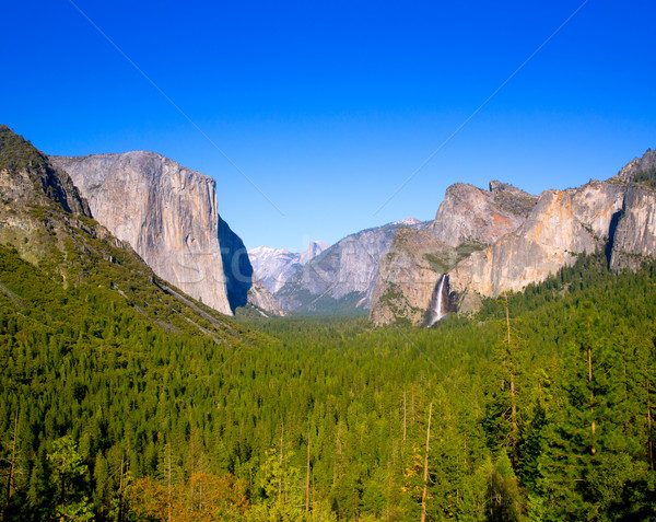 Yosemite fél kupola Kalifornia égbolt fa Stock fotó © lunamarina