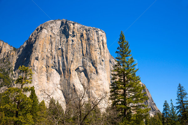 Yosemite Nemzeti Park Kalifornia USA égbolt fa hegy Stock fotó © lunamarina