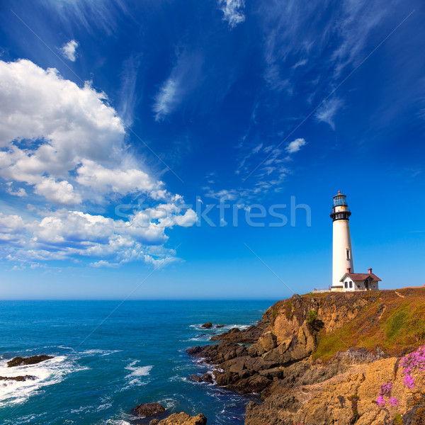 California Pigeon point Lighthouse in Cabrillo Hwy coastal hwy 1 Stock photo © lunamarina