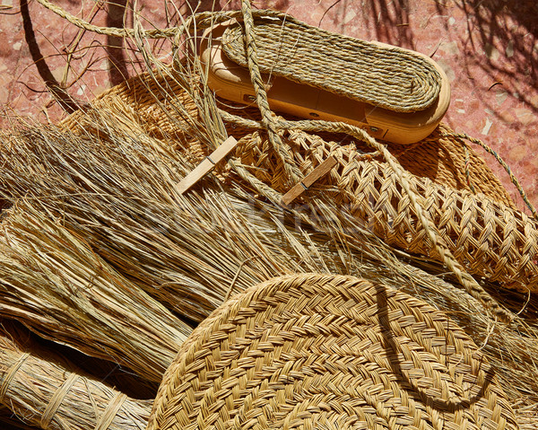 Esparto halfah grass used for crafts basketry Stock photo © lunamarina