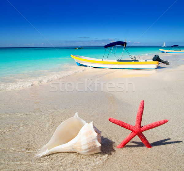 海灘 海星 熱帶 船 商業照片 © lunamarina