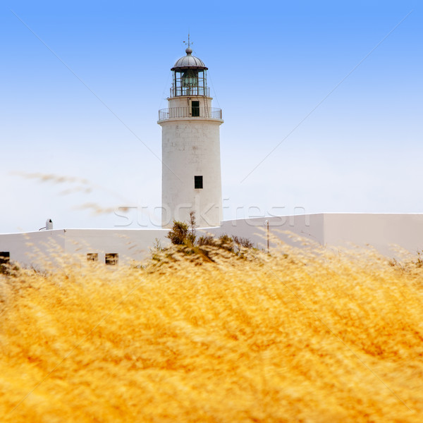 La Mola lighthouse in formentera with golden grass Stock photo © lunamarina