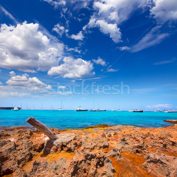 Formentera Cala Saona beach Balearic Islands Stock photo © lunamarina