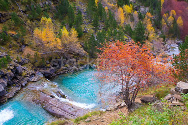 Gradas de Soaso in Arazas river Ordesa valley Pyrenees Huesca Sp Stock photo © lunamarina