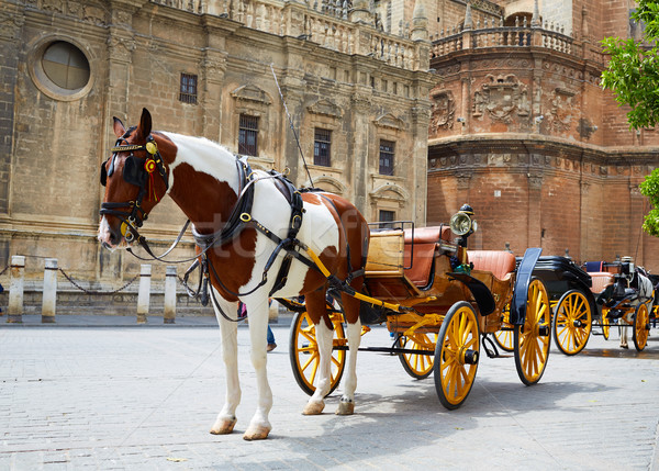 Seville horse carriages in Cathedral of Sevilla Stock photo © lunamarina