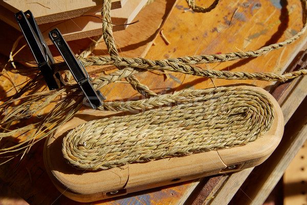 Esparto halfah grass used for crafts basketry Stock photo © lunamarina
