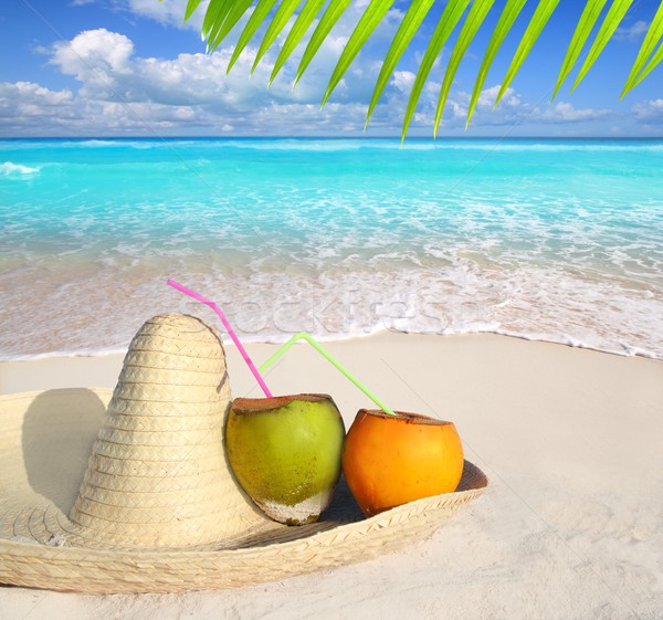 Stockfoto: Kokosnoten · caribbean · strand · Mexico · sombrero · hoed