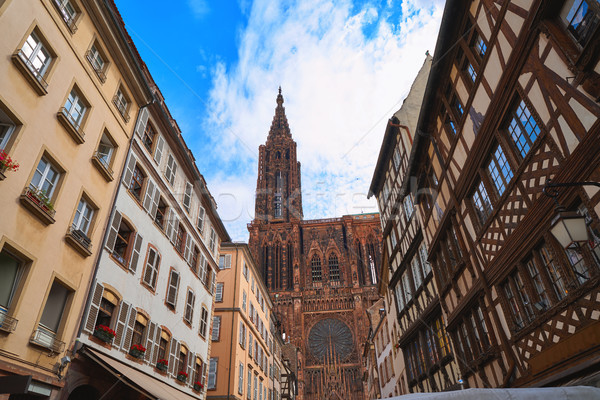 Notre Dame Cathedral in Strasbourg France Stock photo © lunamarina