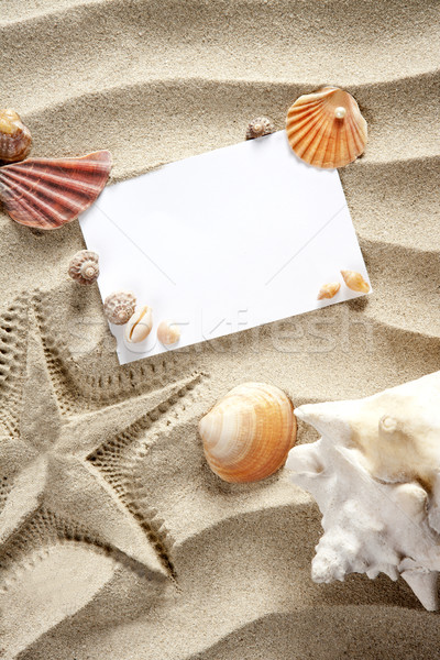Stock photo: copyspace blank space summer starfish sand shells