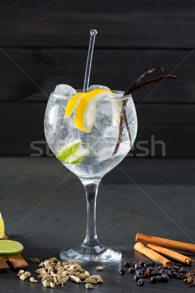 Gin coquetel lima muitos temperos pepino Foto stock © lunamarina