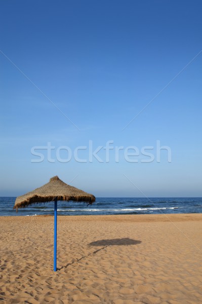 Summer vegetal beach heater wattle umbrella blue sea sky Stock photo © lunamarina