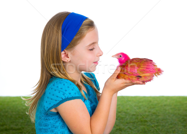breeder hens kid girl rancher farmer with chicken chicks Stock photo © lunamarina