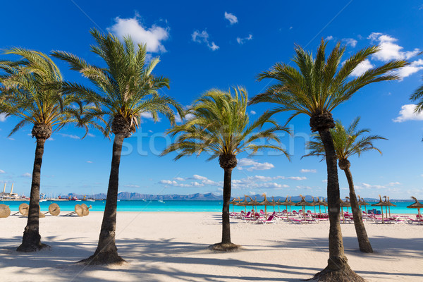 Mallorca Platja de Alcudia beach in Majorca  Stock photo © lunamarina