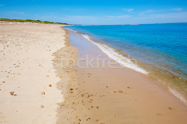 科德角 沙 頸部 海灘 美國馬薩諸塞州 美國 商業照片 © lunamarina
