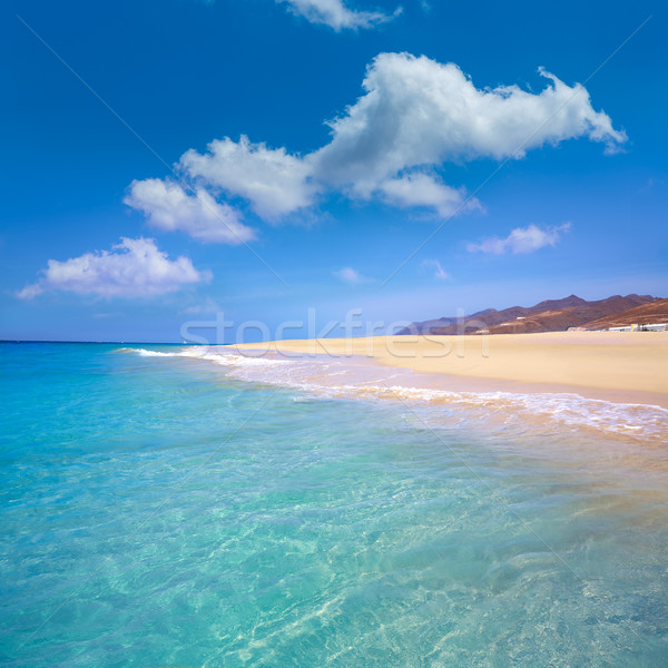 Morro Jable Matorral beach Jandia in Fuerteventura Stock photo © lunamarina
