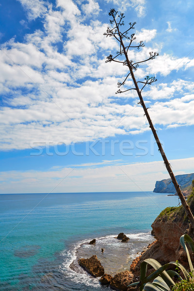 Plajă apă natură peisaj lumina mare Imagine de stoc © lunamarina