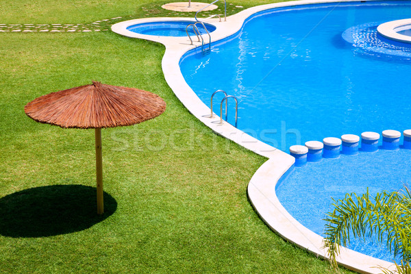 green garden with grass and swimming pool Stock photo © lunamarina