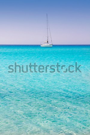 Ibiza Ses Salines south turquoise beach Stock photo © lunamarina