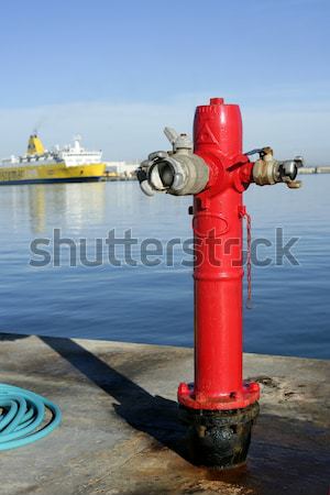 Sea marine hydrant in mediterranean sea Stock photo © lunamarina