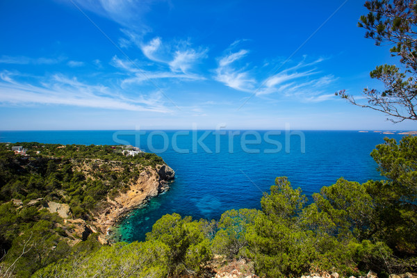 cala Vedella Vadella Ibiza island Mediterranean sea Stock photo © lunamarina