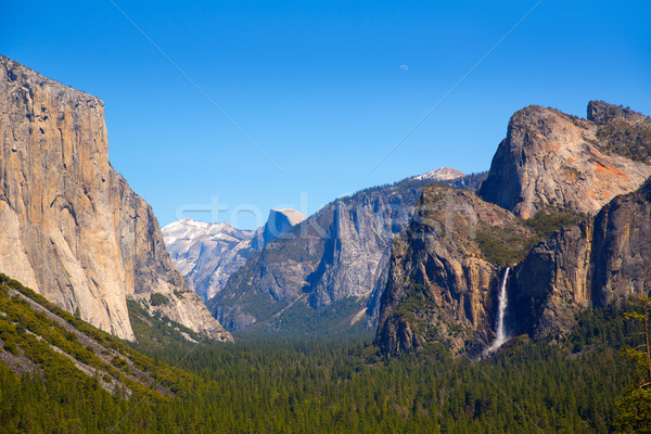 Yosemite el Capitan and Half Dome in California Stock photo © lunamarina