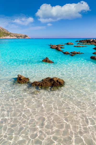 Majorca Cala Agulla beach in Capdepera Mallorca Stock photo © lunamarina