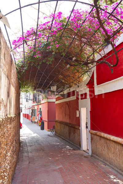 Callejon Agua street in Seville Andalusia spain Stock photo © lunamarina