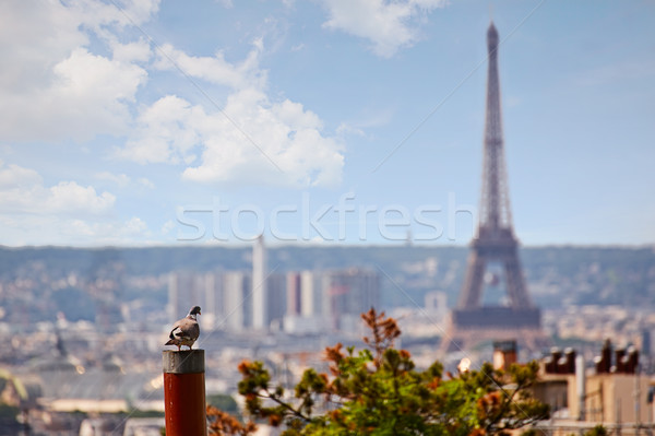 パリ スカイライン モンマルトル フランス 空 ストックフォト © lunamarina