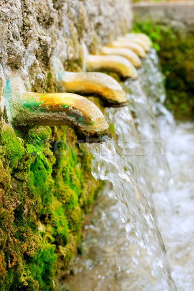 ストックフォト: 真鍮 · 噴水 · 水 · ソース · 春 · 緑