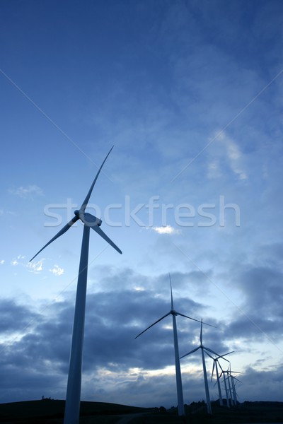 Wind mills aerogenerator, ecological energy Stock photo © lunamarina