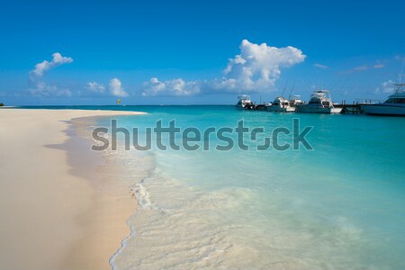 Illetes Illetas island in formentera beach at Balearic Stock photo © lunamarina