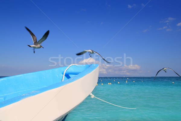 Stockfoto: Blauw · boot · meeuwen · caribbean · turkoois · zee