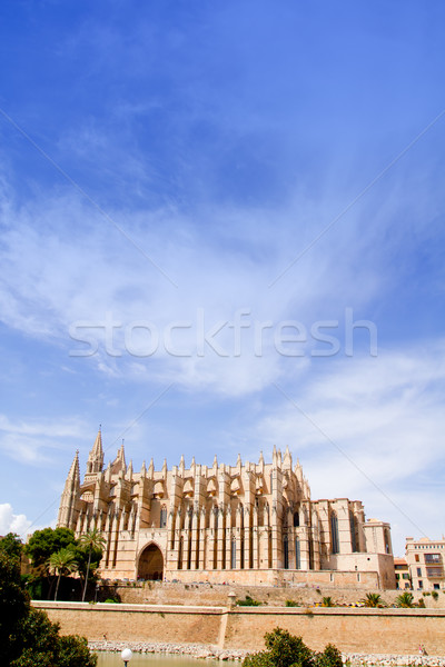 Cathedral of Majorca  La seu from Palma de Mallorca Stock photo © lunamarina