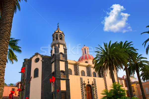 La Orotava Concepcion church red dome Stock photo © lunamarina